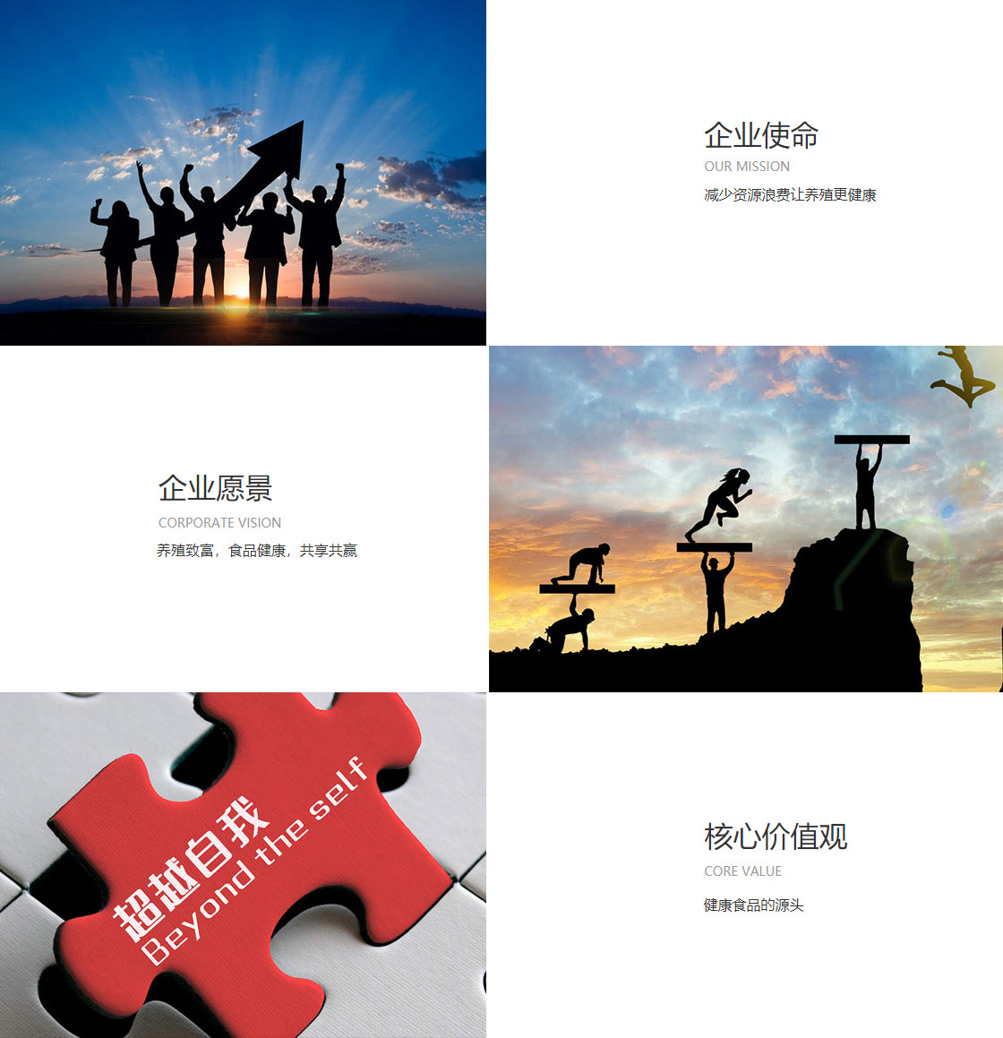 加拿大赚钱软件(图1)